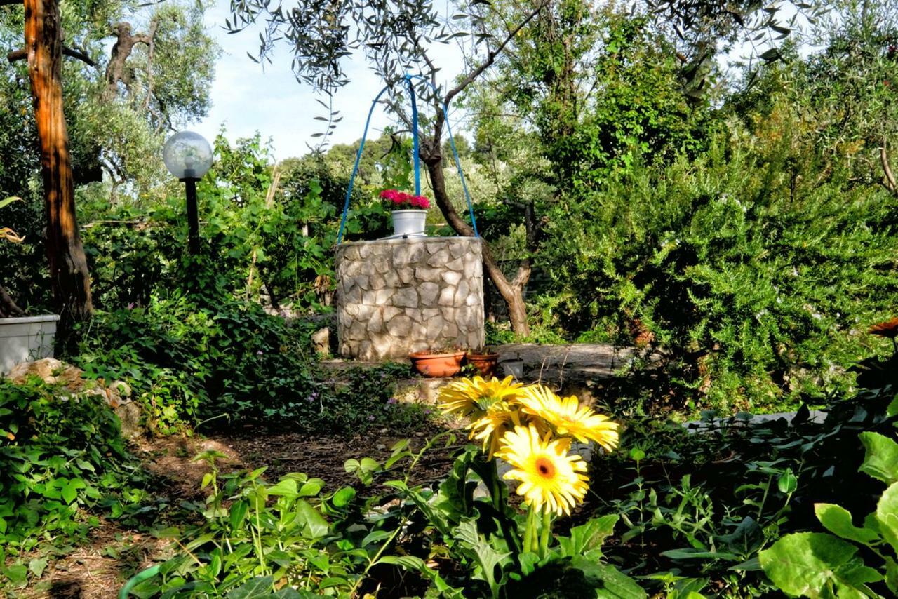 Willa Terra Di Ulivo Vieste Zewnętrze zdjęcie